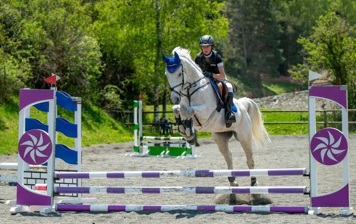 Magnifique hongre PSAR 1m62