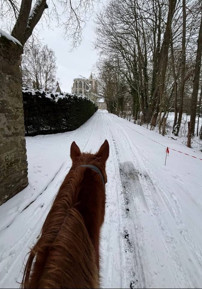 &Agrave; vendre: TF de 4 ans 