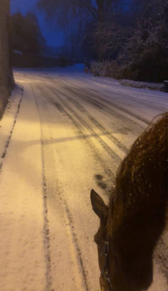 &Agrave; vendre: TF de 4 ans 