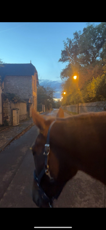 &Agrave; vendre: TF de 4 ans 