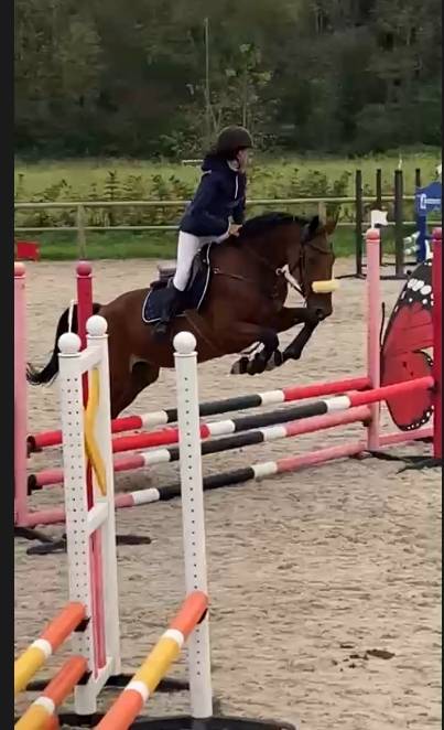 Cheval de saut en DP