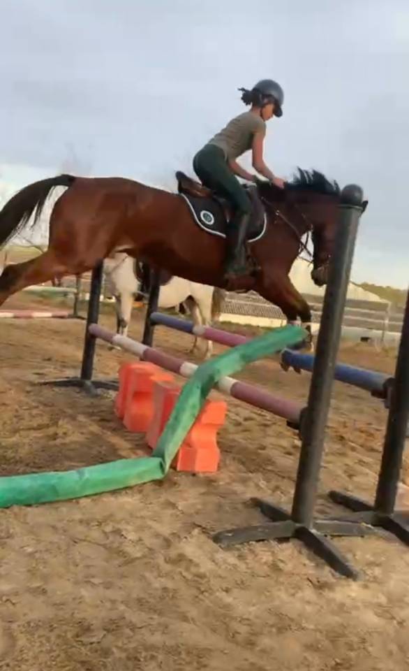 Cheval de saut en DP