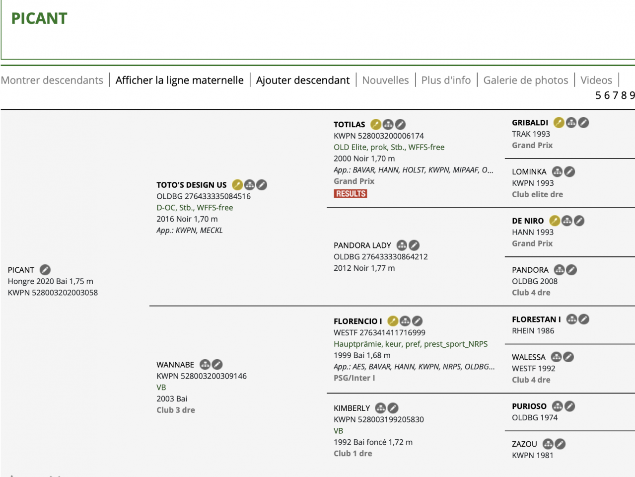 PICANT - Un cheval de dressage prometteur