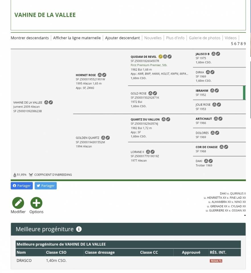 &Agrave; vendre ou &agrave; &eacute;changer contre pouliche ou poulini&egrave;re