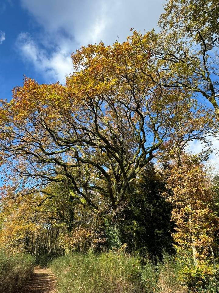 Domaine Equestre centr&eacute; sur le Bien Etre &eacute;quin et l'Agro&eacute;co