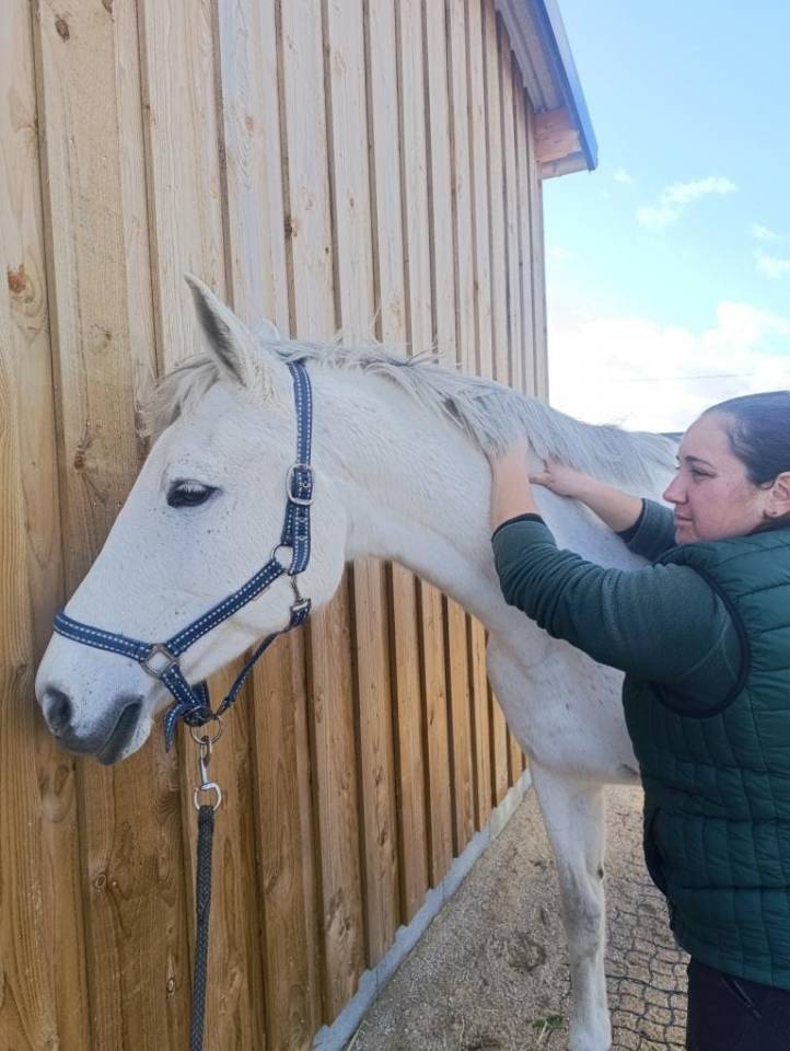 Masseuse &eacute;quin & canin 