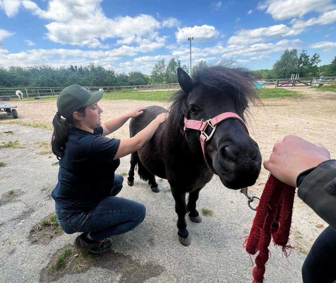Masseuse &eacute;quin & canin 