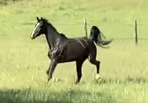 de bon augure pour la suite