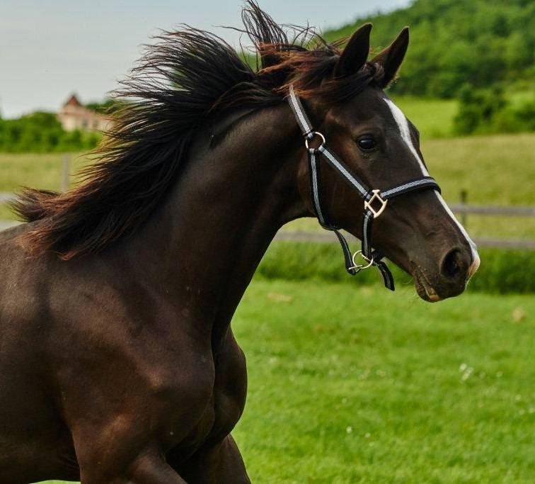 de bon augure pour la suite