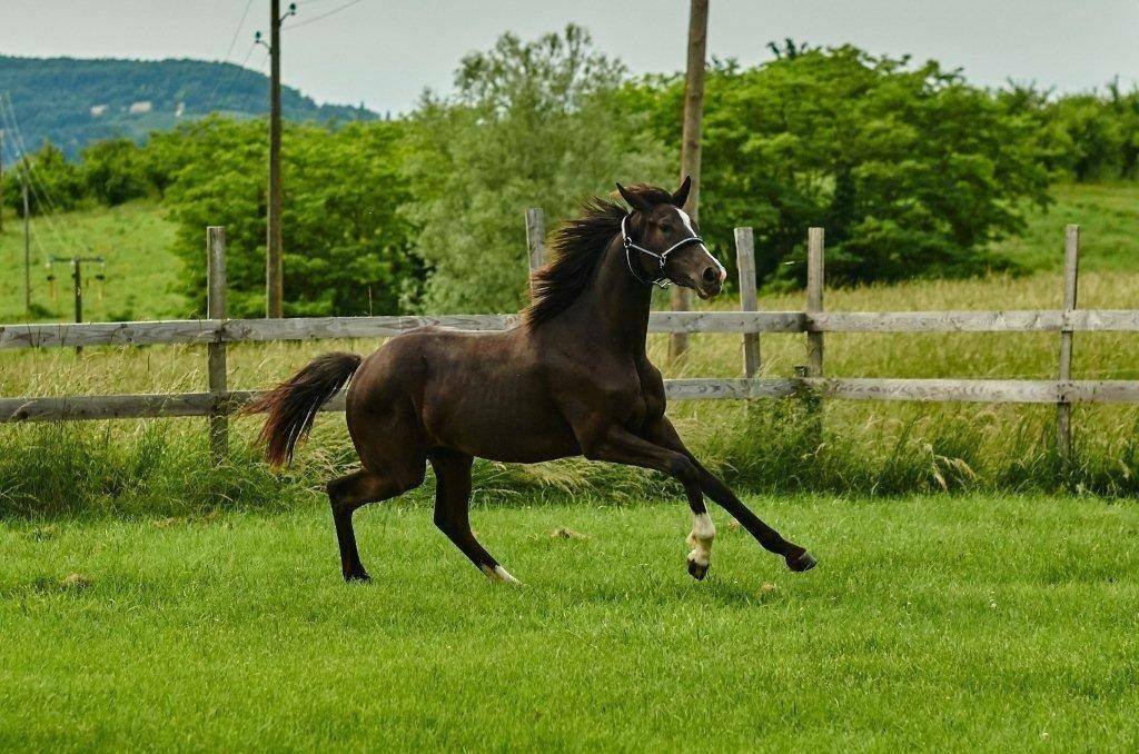 de bon augure pour la suite