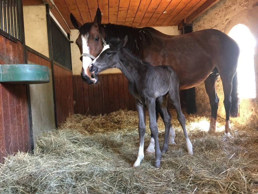 de bon augure pour la suite