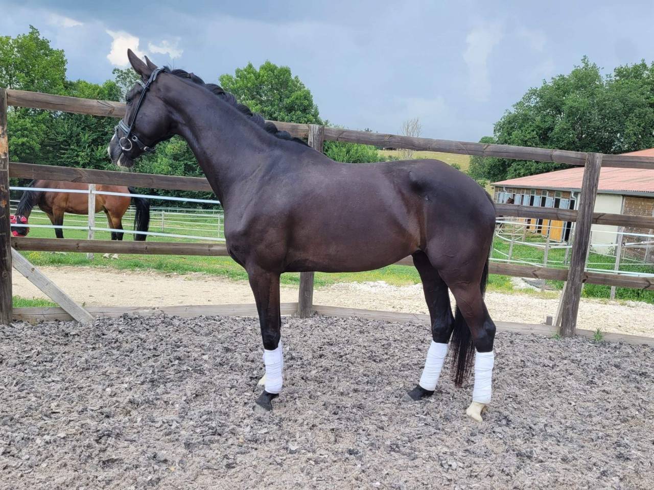 de bon augure pour la suite