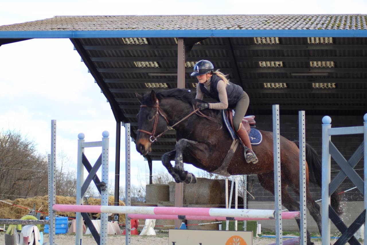 Jument cso/loisir 5 ans