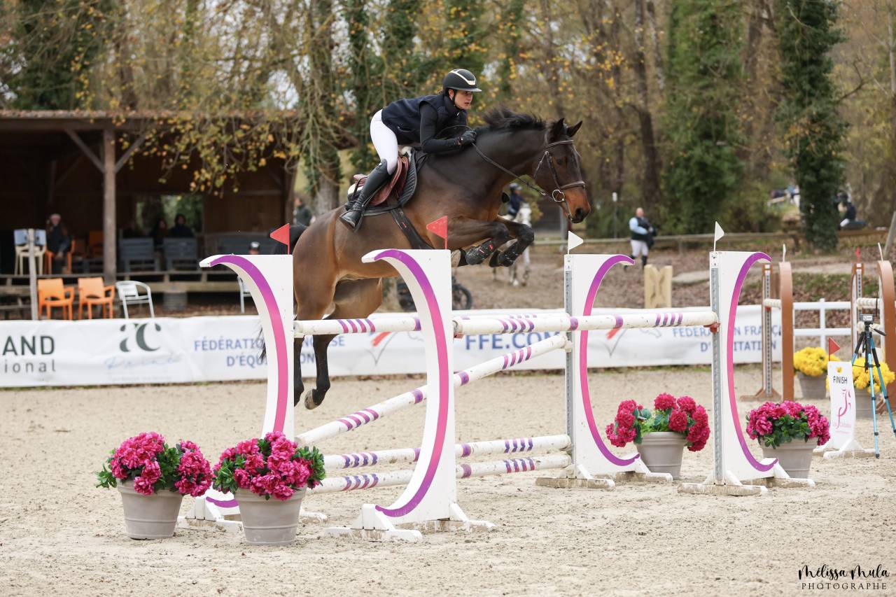 Hongre de 8 ans par Cornet Obolensky x Ukato