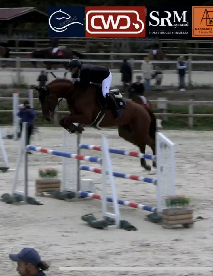 &Agrave; vendre jument de 6 ans 