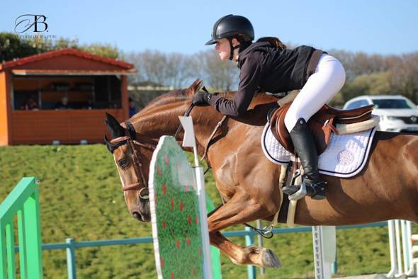 Jument de 5ans &agrave; vendre 