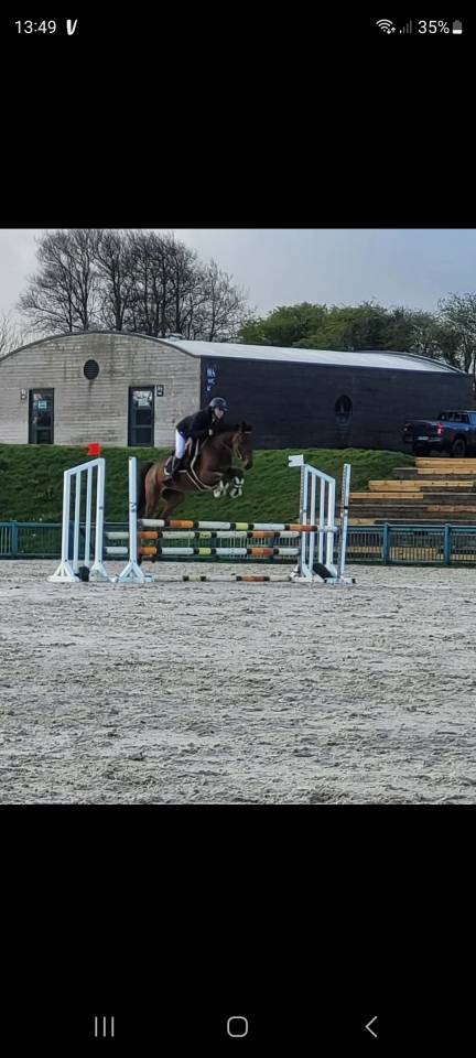 Jument de 7 ans CSO &ndash; Bonnes origines &ndash; Pour cavalier c