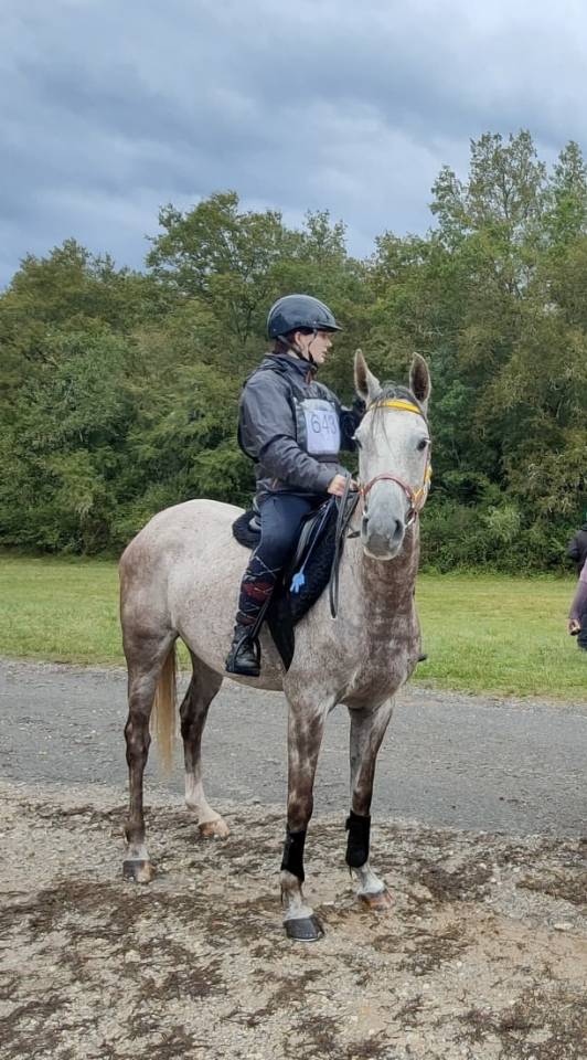 Vente de cheval pur sang arabe d&rsquo;endurance 
