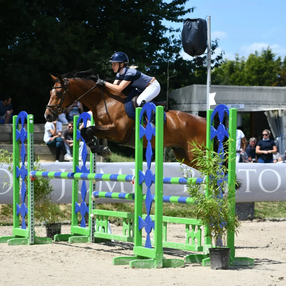 DEMI PENSION CHEVAL (56)