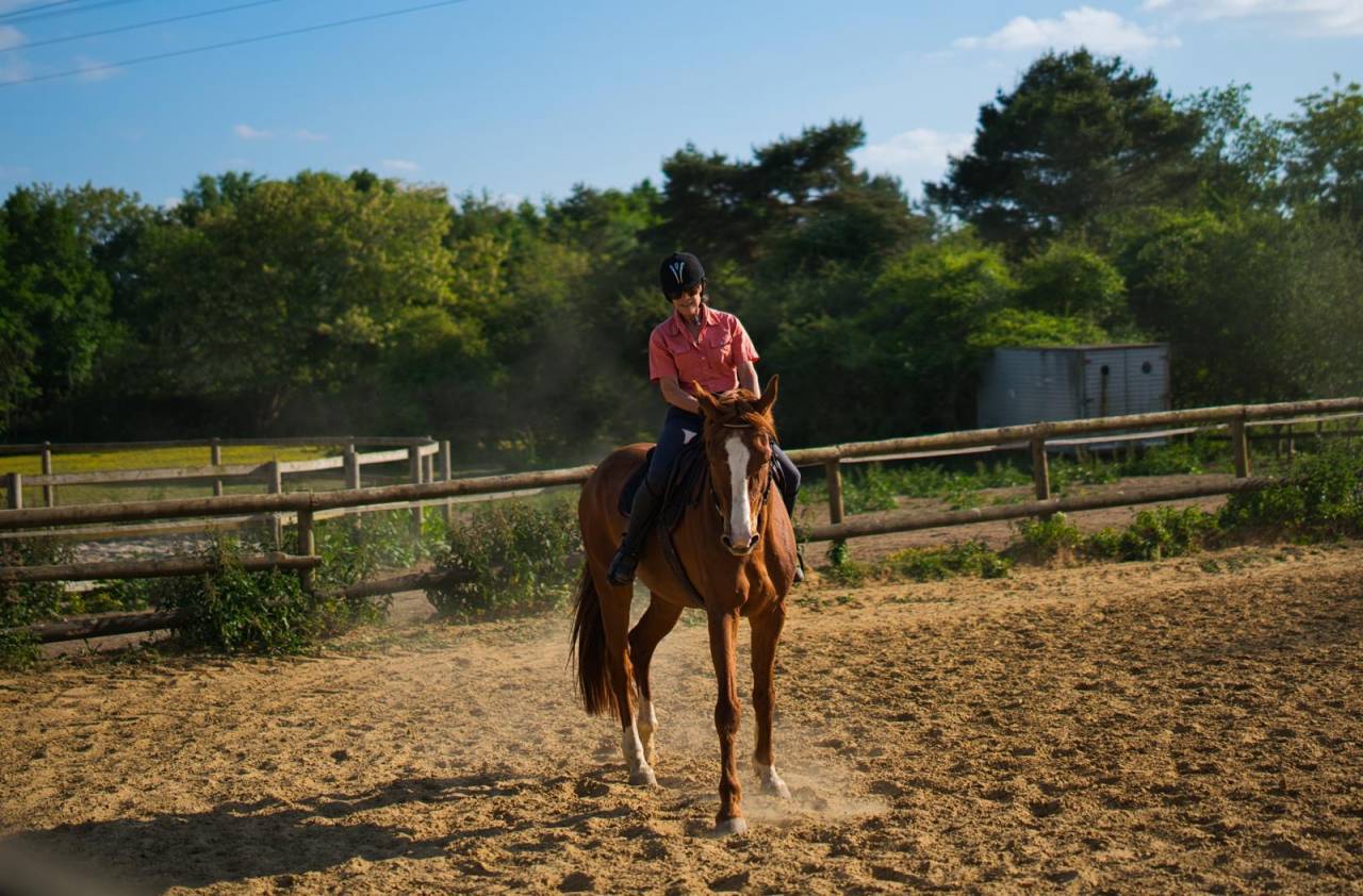 Selle Fran&ccedil;ais Alezan