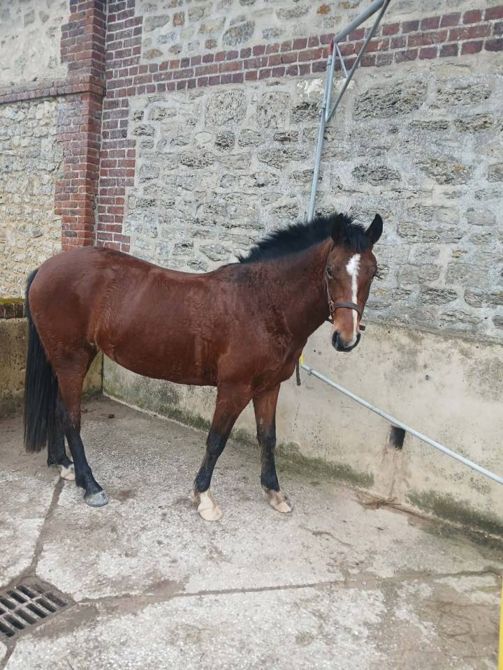 Ponette 4 ans PFS