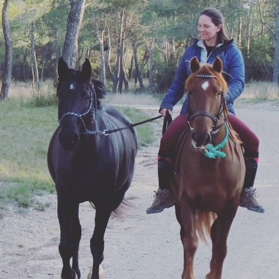 &Agrave; vendre tr&egrave;s belle jument 