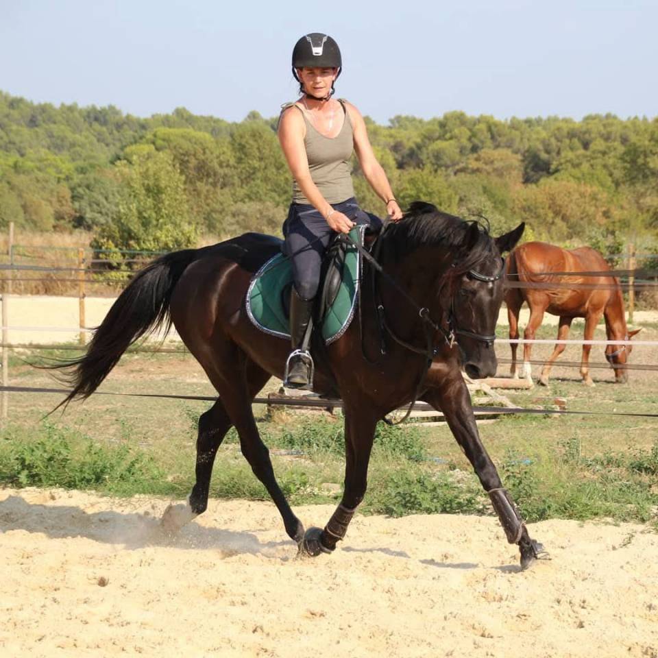 &Agrave; vendre tr&egrave;s belle jument 