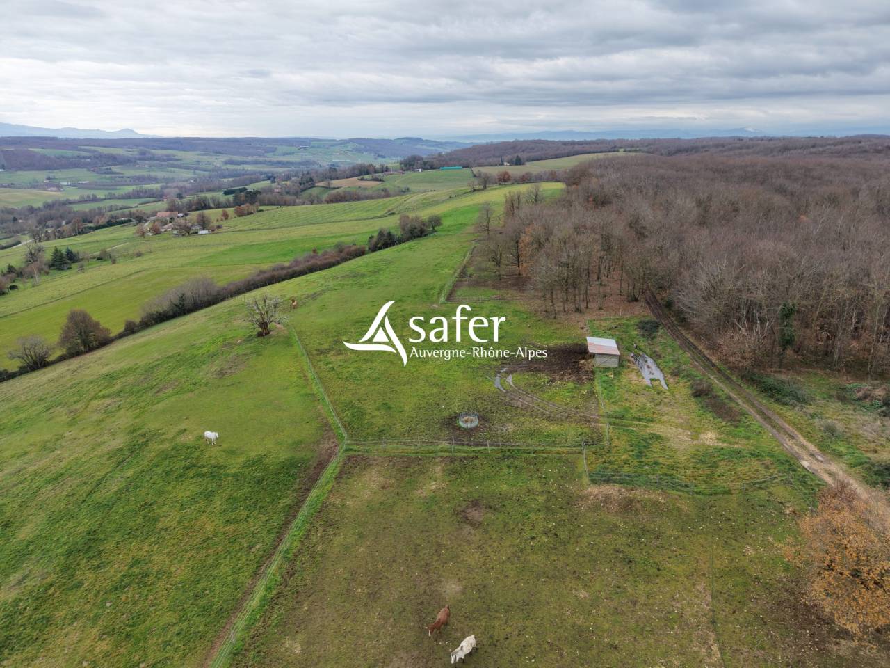 Haras en Dr&ocirc;me des Collines