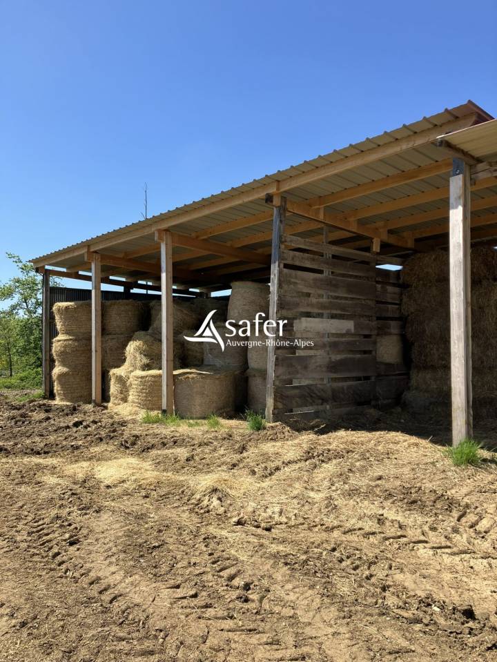 Haras en Dr&ocirc;me des Collines