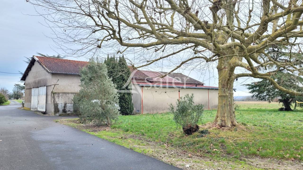 Domaine agricole 22ha Gaillac