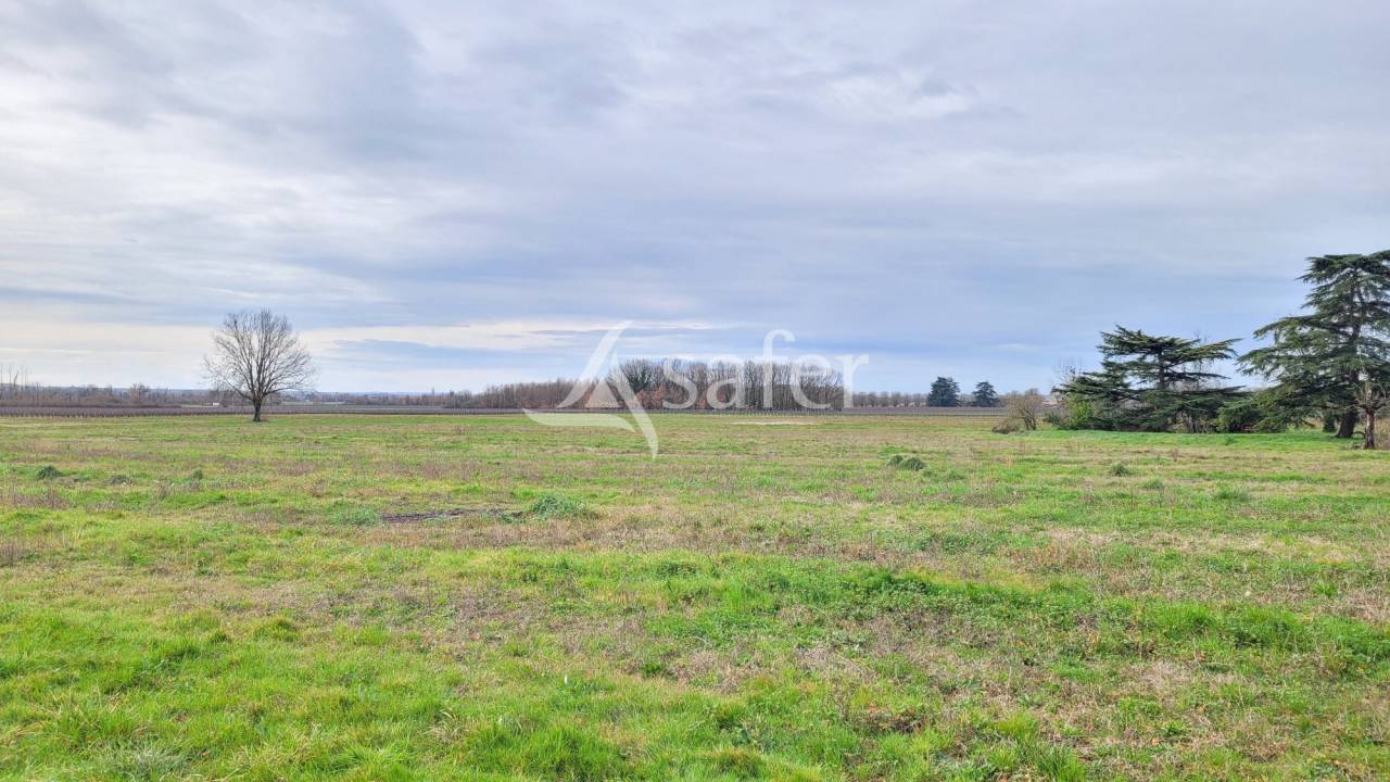 Domaine agricole 22ha Gaillac