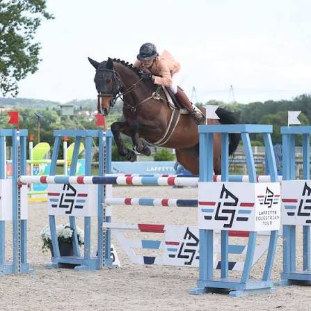 Pension Chevaux - Maisons Laffite 