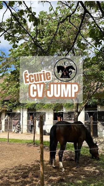 Pension Chevaux - Maisons Laffite 