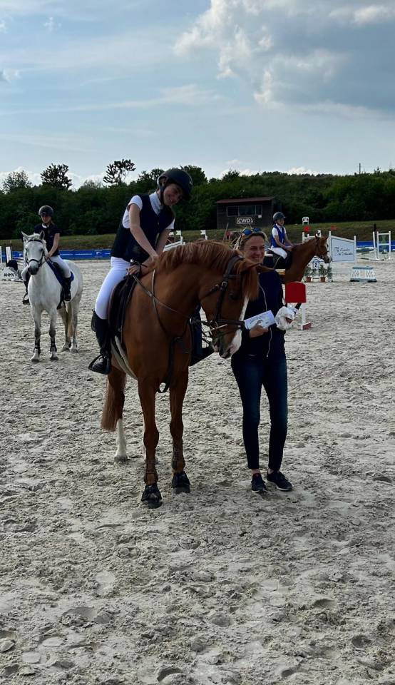 Poney D 11ans ideal famille et concours