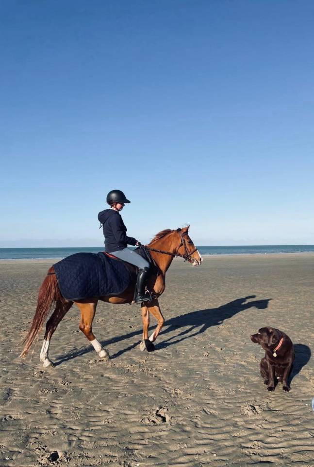 Poney D 11ans ideal famille et concours