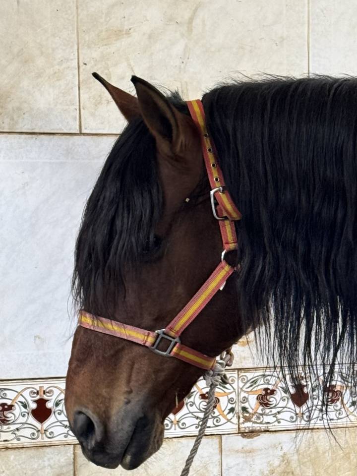 PRE entier de 18 ans 