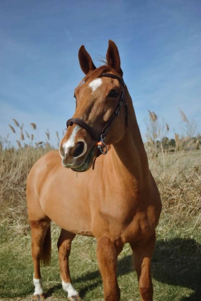 ULTRA KALASKA PIERRE