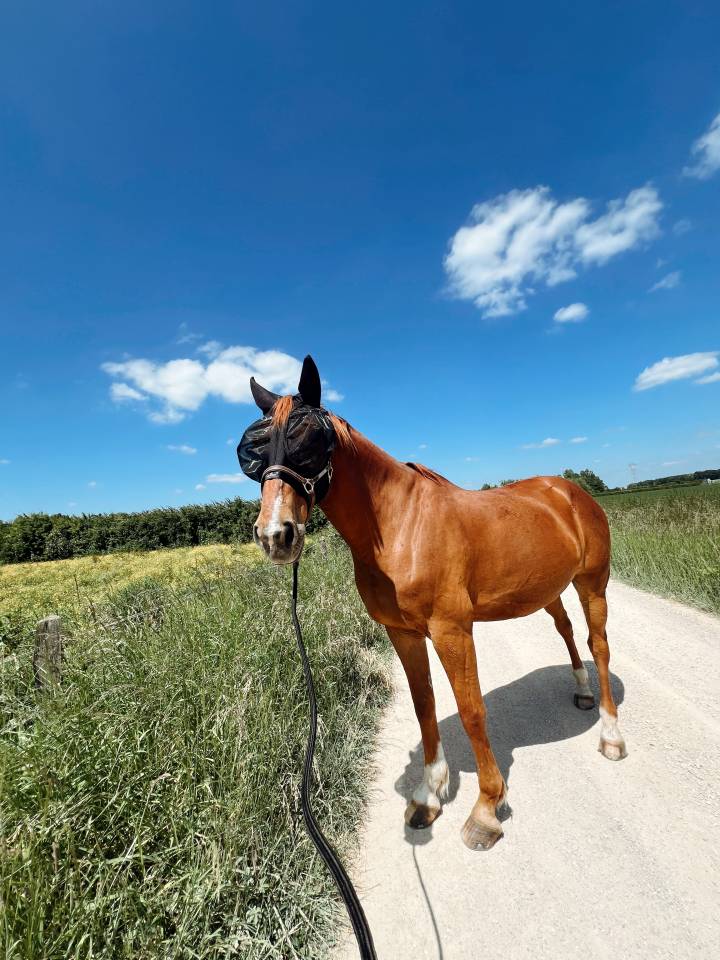 ULTRA KALASKA PIERRE