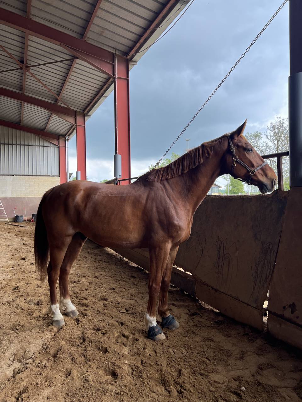 ULTRA KALASKA PIERRE