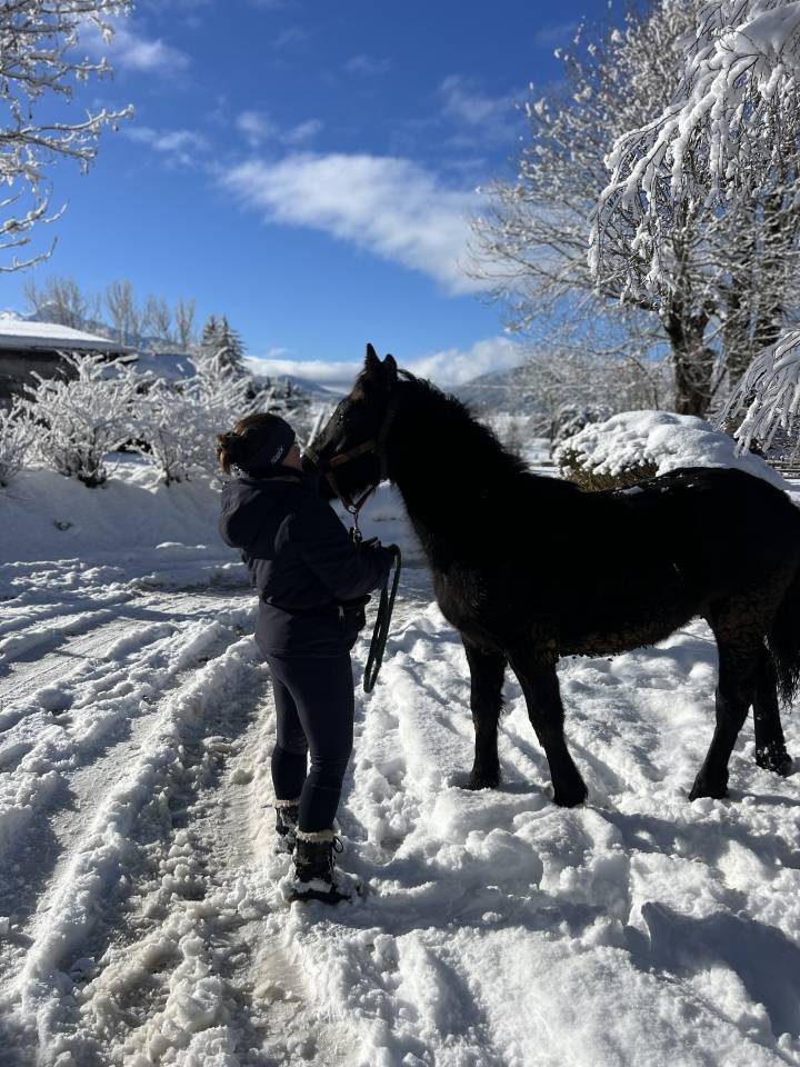 Poulain M&eacute;rens PP