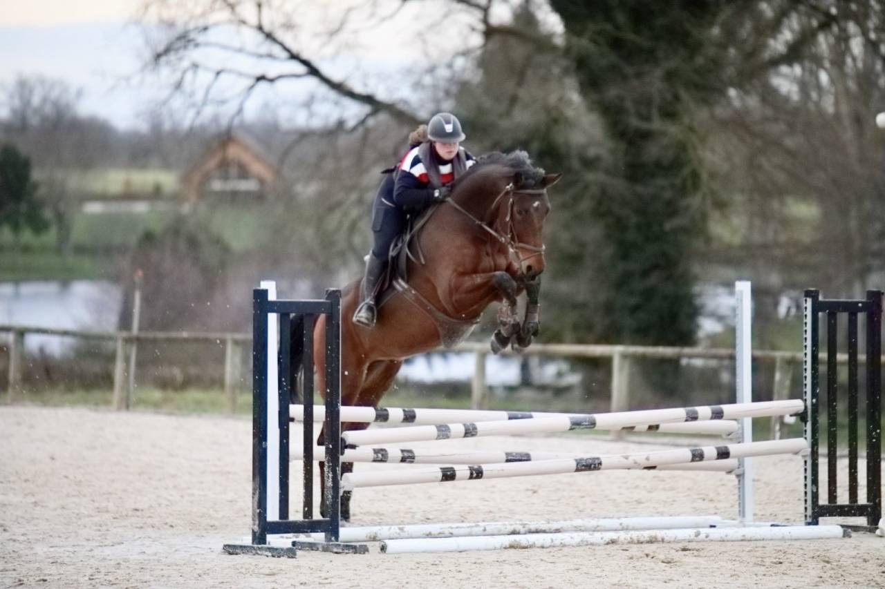 Cheval CSO prometteur