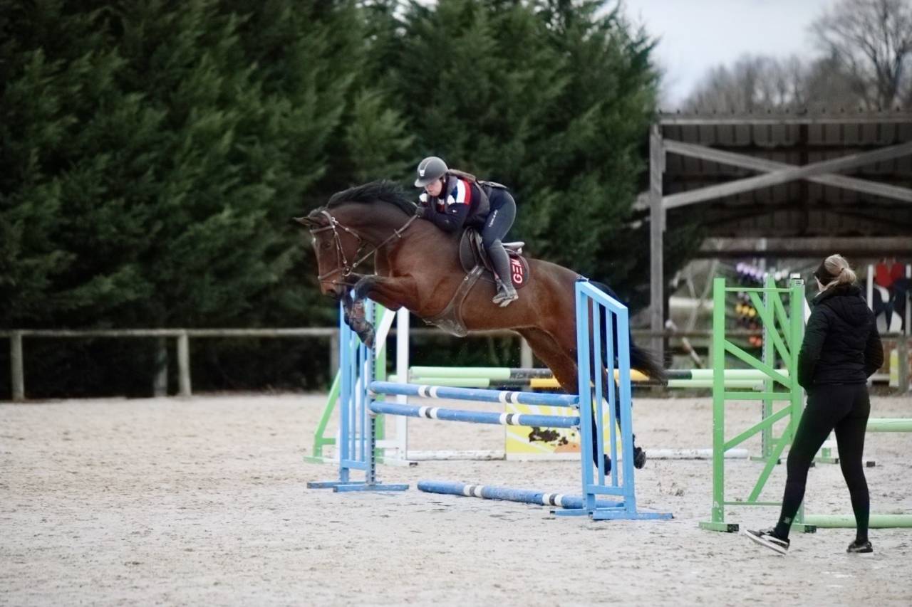 Cheval CSO prometteur