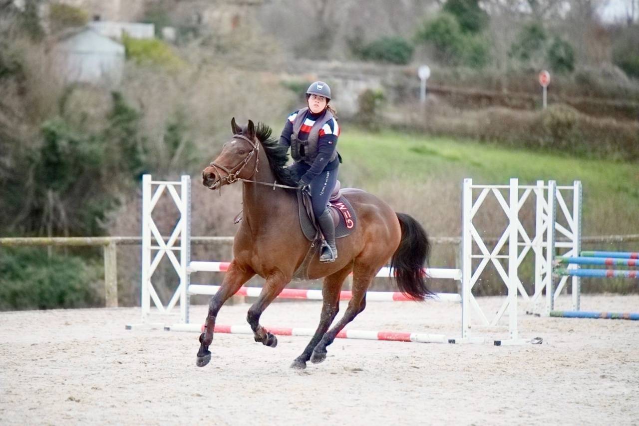 Cheval CSO prometteur