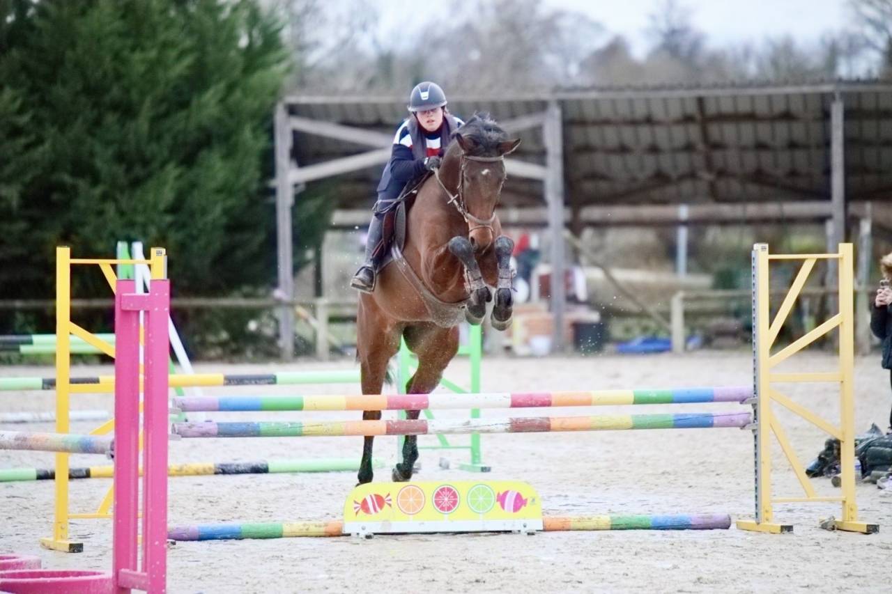 Cheval CSO prometteur