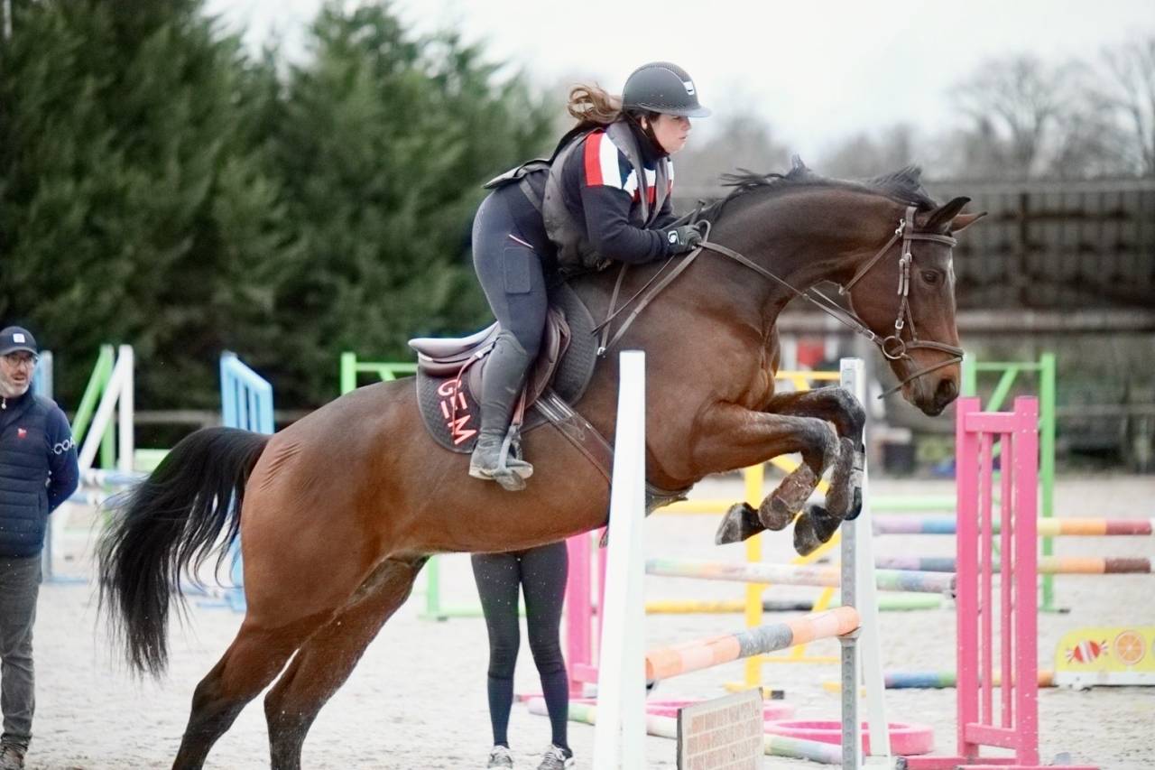 Cheval CSO prometteur