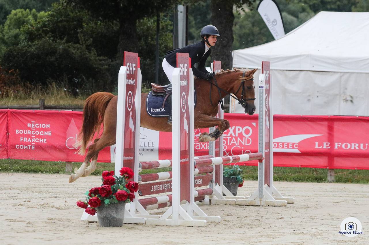 Ponette PFS pour concours