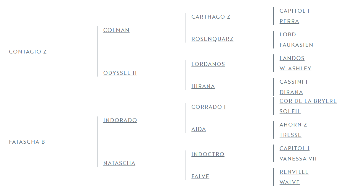 Magnifique pouliche de 1 ans 