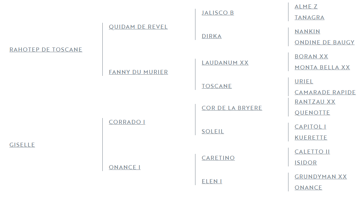 Poulain de 1 ans par Rahotep de Toscane