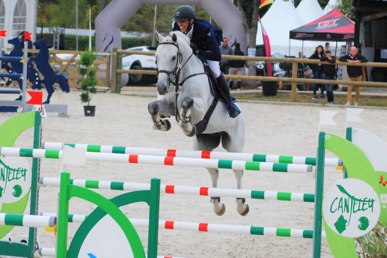 Jolie poulain de 1 ans 