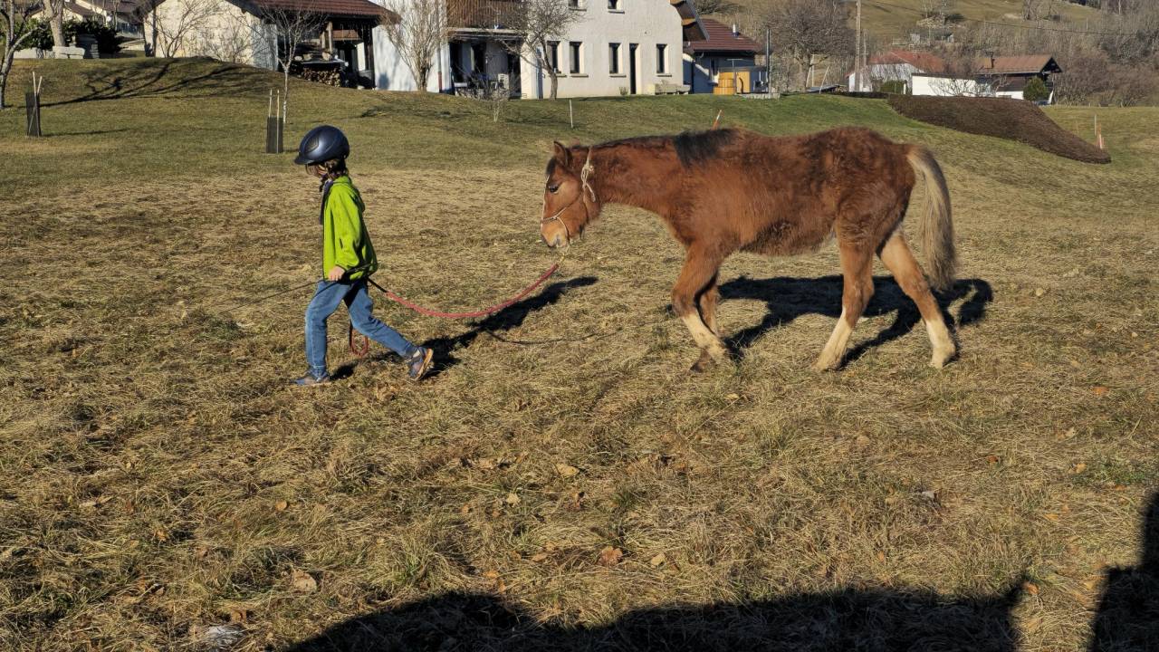 Barbe PP Pashan Houlm Al A&ccedil;il - Pontentiel sport et loi